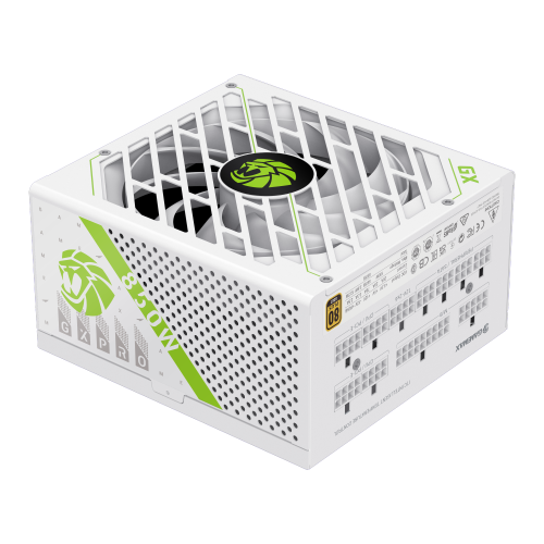 GX-850 PRO WH (ATX3.1 PCIe5.1)